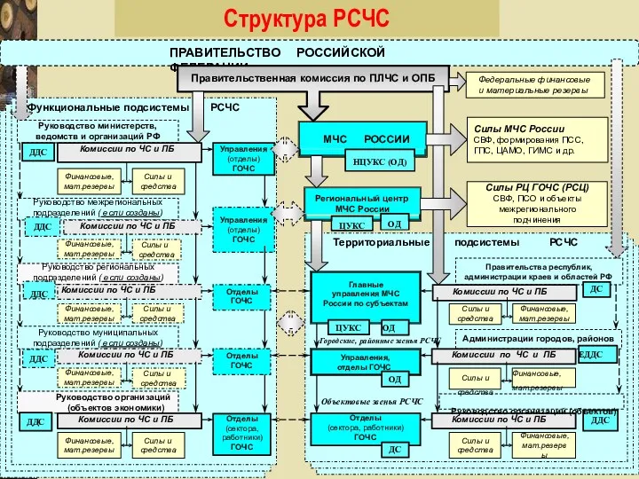 ПРАВИТЕЛЬСТВО РОССИЙСКОЙ ФЕДЕРАЦИИ Функциональные подсистемы РСЧС Правительственная комиссия по ПЛЧС