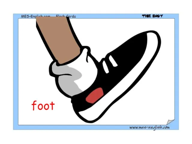 foot