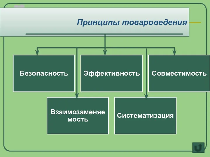 Безопасность Эффективность Совместимость Взаимозаменяемость Систематизация Принципы товароведения