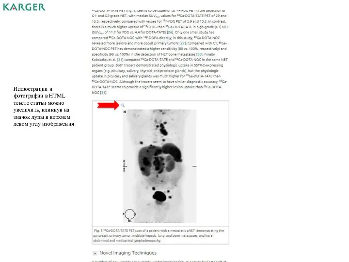 Иллюстрации и фотографии в HTML тексте статьи можно увеличить, кликнув