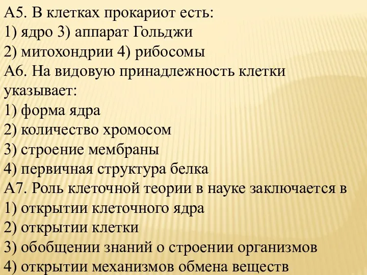 А5. В клетках прокариот есть: 1) ядро 3) аппарат Гольджи