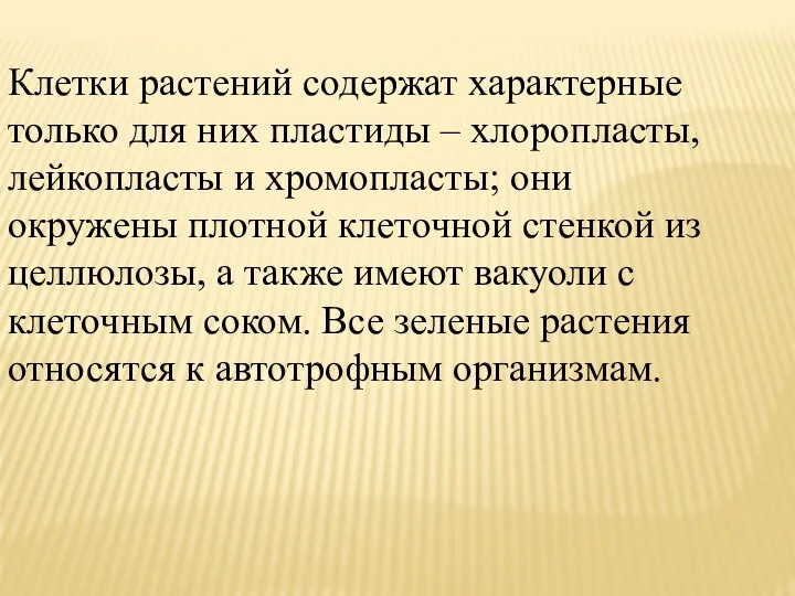 Клетки растений содержат характерные только для них пластиды – хлоропласты,