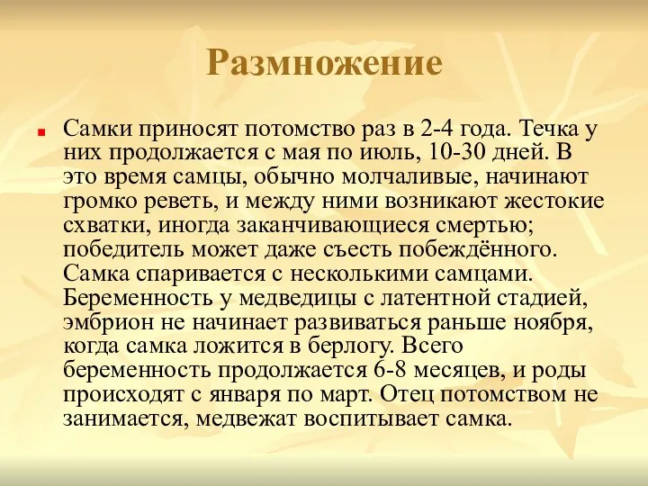 Размножение Самки приносят потомство раз в 2-4 года. Течка у