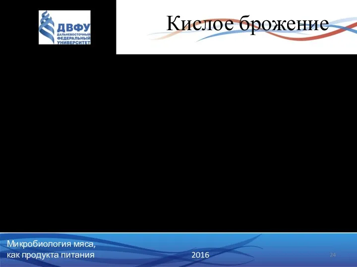 Кислое брожение Развивается обычно в субпродуктах, богатых гликогеном (печень, сердце),