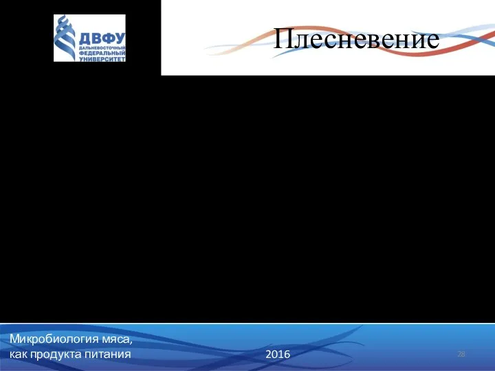 Плесневение Обычно наблюдается при относительно низкой температуре хранения (-5 - 10оС ) и