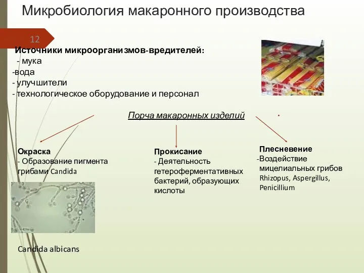 Микробиология макаронного производства Источники микроорганизмов-вредителей: - мука вода улучшители технологическое