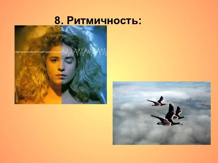 8. Ритмичность: