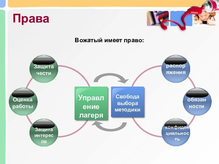 Права Управление лагеря Свобода выбора методики Защита чести Оценка работы