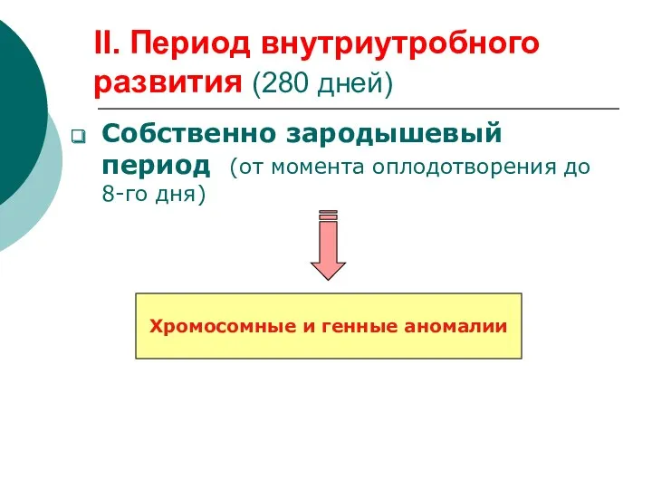 II. Период внутриутробного развития (280 дней) Собственно зародышевый период (от