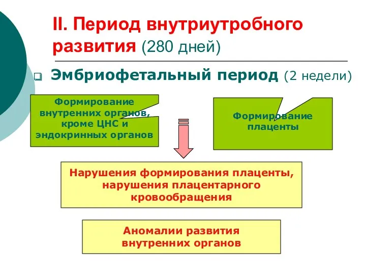 II. Период внутриутробного развития (280 дней) Эмбриофетальный период (2 недели)