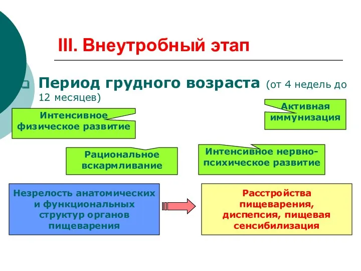 III. Внеутробный этап Период грудного возраста (от 4 недель до