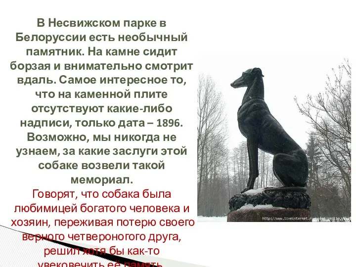 В Несвижском парке в Белоруссии есть необычный памятник. На камне сидит борзая и