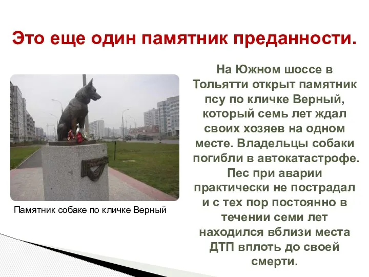 На Южном шоссе в Тольятти открыт памятник псу по кличке Верный, который семь