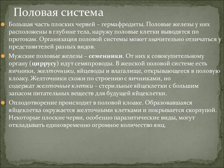 Большая часть плоских червей – гермафродиты. Половые железы у них