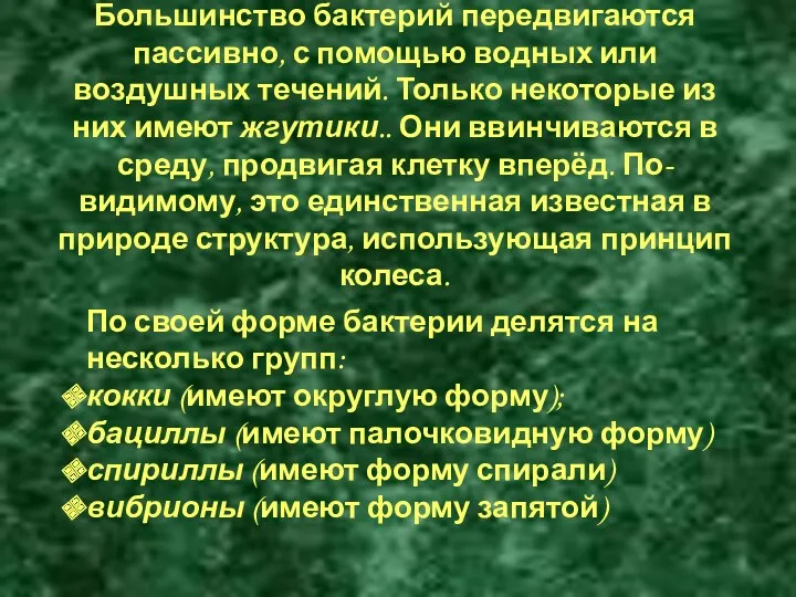 Большинство бактерий передвигаются пассивно, с помощью водных или воздушных течений.