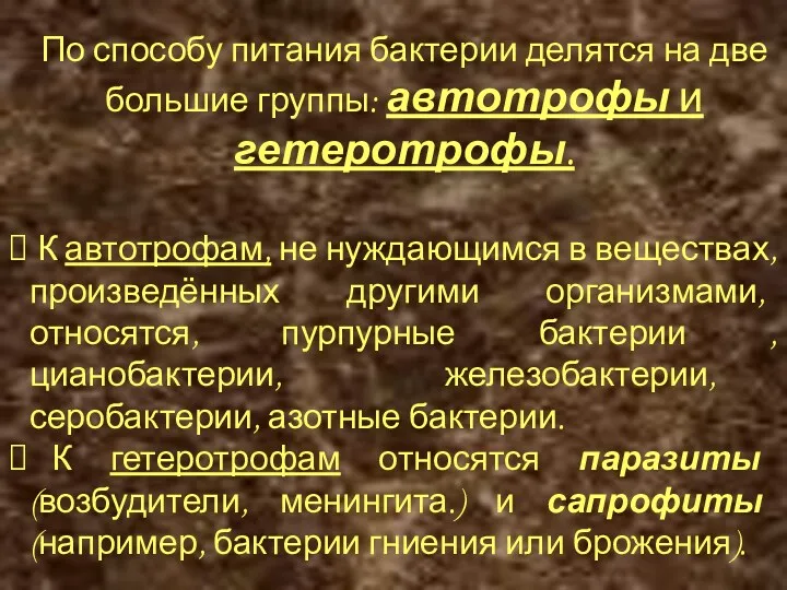 По способу питания бактерии делятся на две большие группы: автотрофы