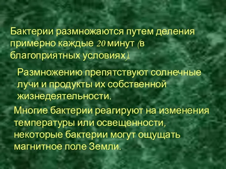 По способу дыхания бактерии делятся на аэробов (большинство бактерий) и