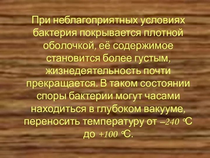 При неблагоприятных условиях бактерия покрывается плотной оболочкой, её содержимое становится