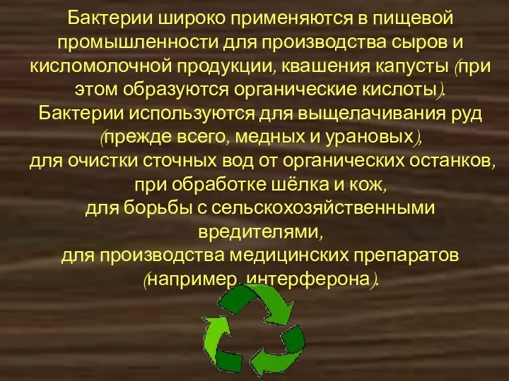 Бактерии широко применяются в пищевой промышленности для производства сыров и