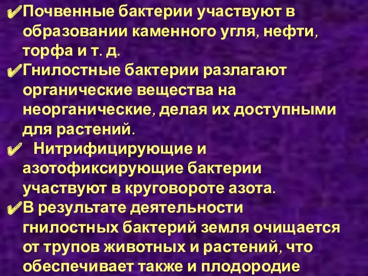 Значение бактерий в природе Почвенные бактерии участвуют в образовании каменного