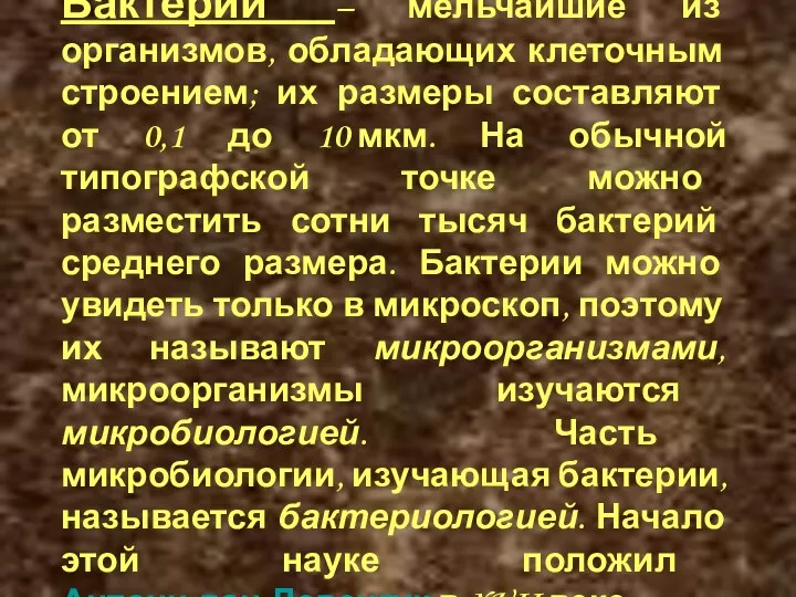 Бактерии – мельчайшие из организмов, обладающих клеточным строением; их размеры