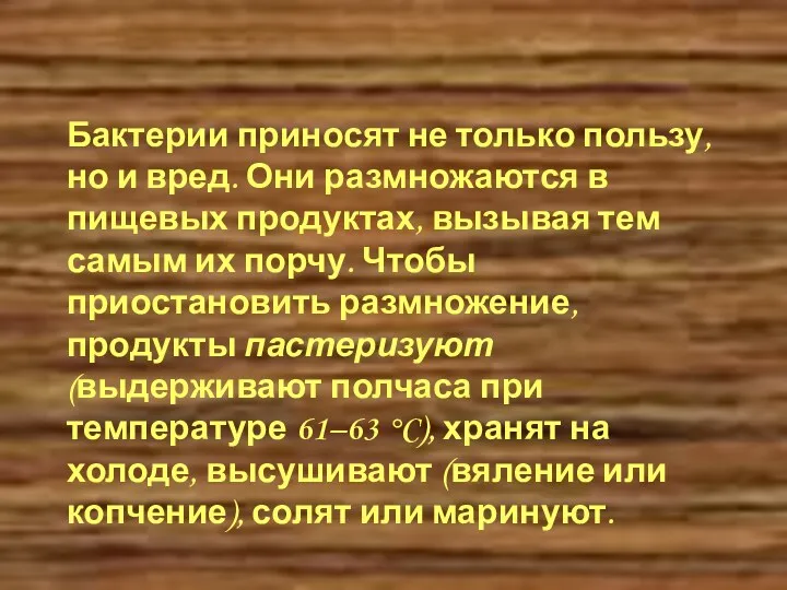 Бактерии приносят не только пользу, но и вред. Они размножаются