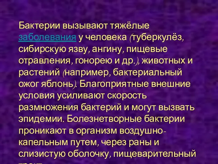 Бактерии вызывают тяжёлые заболевания у человека (туберкулёз, сибирскую язву, ангину,