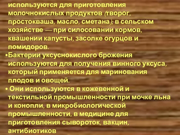 Значение бактерий в жизни человека Бактерии молочнокислого брожения используются для