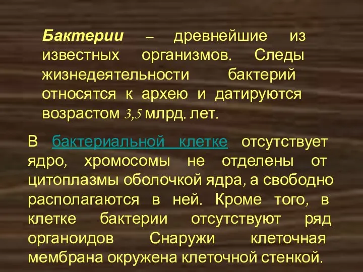 Бактерии – древнейшие из известных организмов. Следы жизнедеятельности бактерий относятся