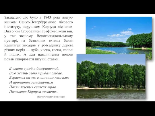 Закладено ліс було в 1843 році випус-кником Санкт-Петербурзького лісового інституту, поручиком Корпуса лісничих
