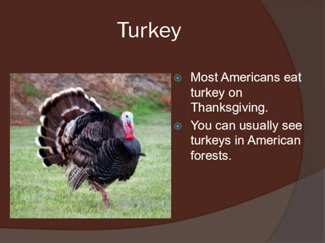 Turkey Most Americans eat turkey on Thanksgiving. You can usually see turkeys in American forests.