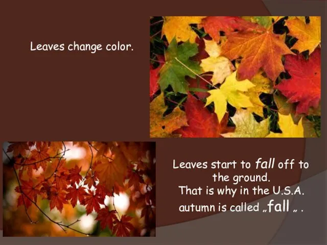 Leaves change color. Leaves start to fall off to the ground. That is