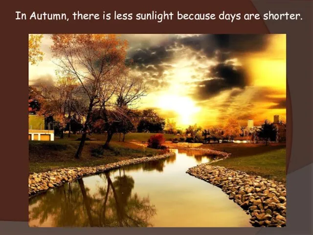 In Autumn, there is less sunlight because days are shorter.