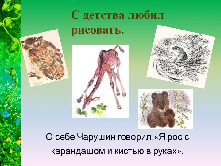 О себе Чарушин говорил:«Я рос с карандашом и кистью в руках». С детства любил рисовать.