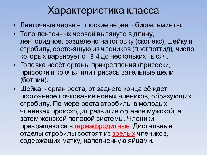 Характеристика класса Ленточные черви – плоские черви - биогельминты. Тело ленточных червей вытянуто