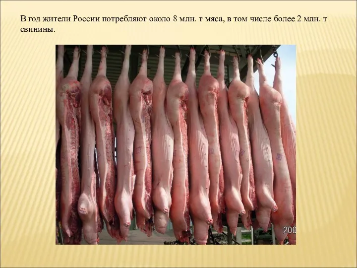 В год жители России потребляют около 8 млн. т мяса, в том числе