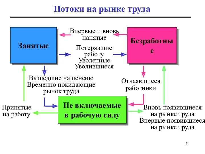 Занятые Безработные Не включаемые в рабочую силу Потоки на рынке