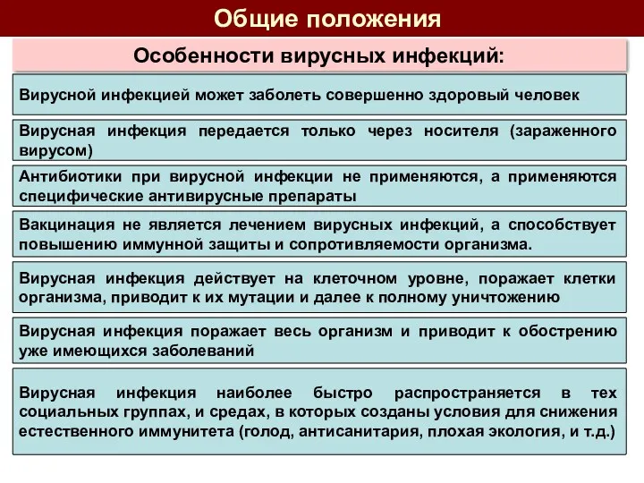 Особенности вирусных инфекций: Общие положения Вирусной инфекцией может заболеть совершенно