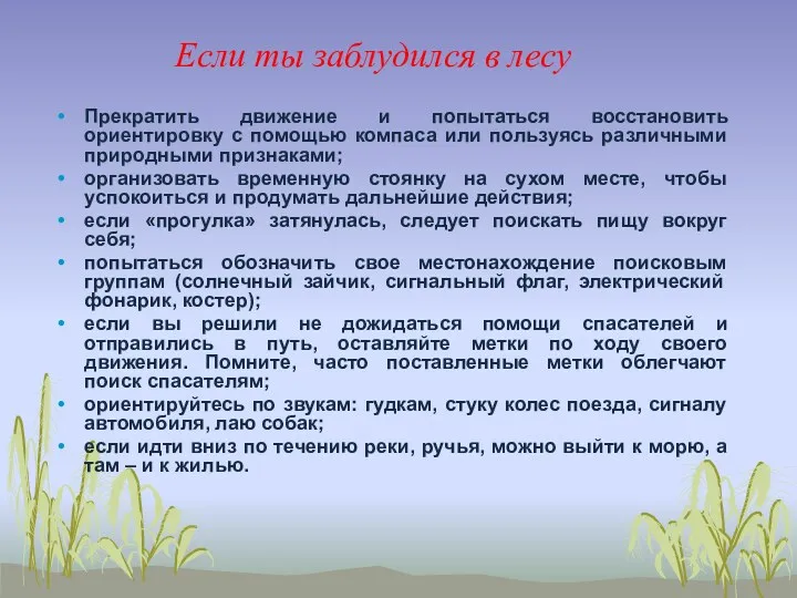 Если ты заблудился в лесу Прекратить движение и попытаться восстановить