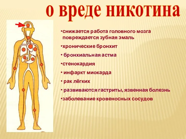 о вреде никотина снижается работа головного мозга повреждается зубная эмаль