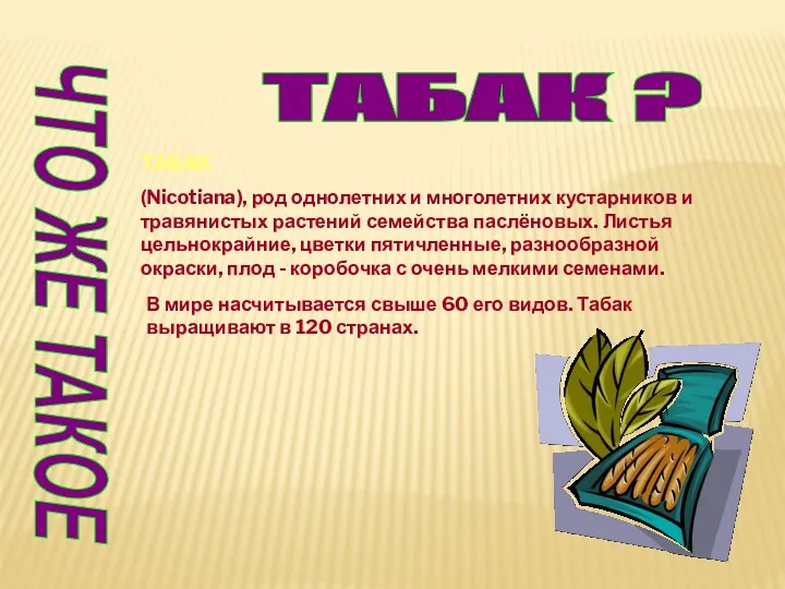 ЧТО ЖЕ ТАКОЕ ТАБАК ? ТАБАК (Nicotiana), род однолетних и