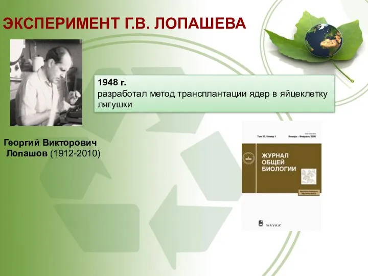 ЭКСПЕРИМЕНТ Г.В. ЛОПАШЕВА Георгий Викторович Лопашов (1912-2010) 1948 г. разработал метод трансплантации ядер в яйцеклетку лягушки