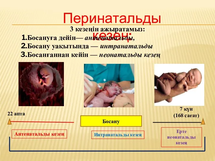 Босану 22 апта 7 күн (168 сағат) Антенатальды кезең Интранатальды