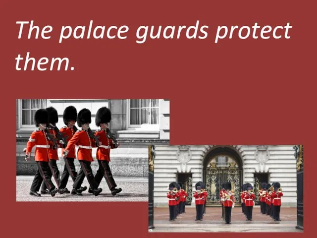 The palace guards protect them.