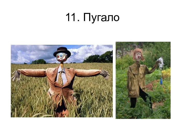 11. Пугало