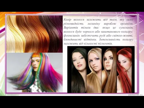 Колір волосся залежить від того, яку саме різновидність меланіну виробляє