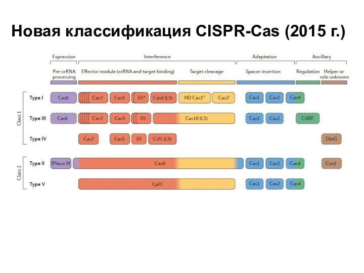 Новая классификация CISPR-Cas (2015 г.)