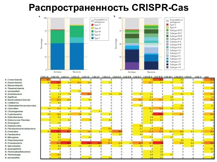Распространенность CRISPR-Cas