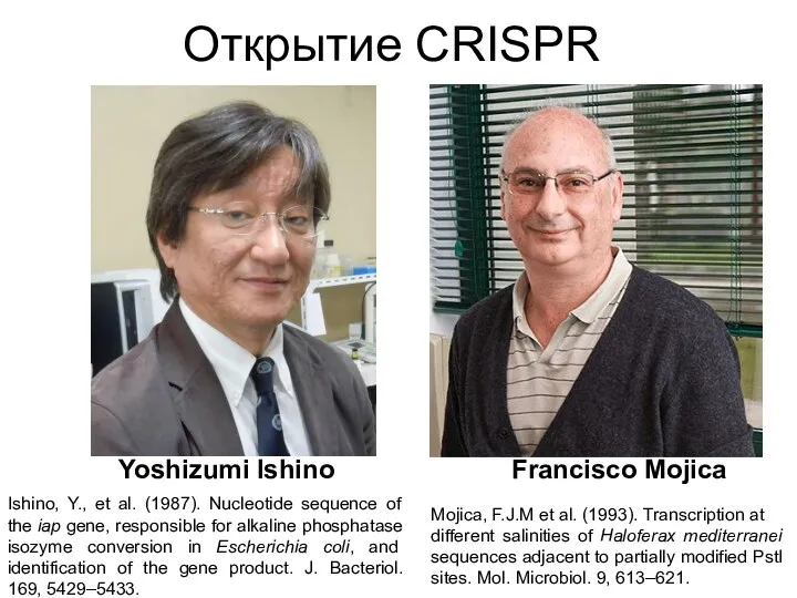 Открытие CRISPR Yoshizumi Ishino Ishino, Y., et al. (1987). Nucleotide sequence of the