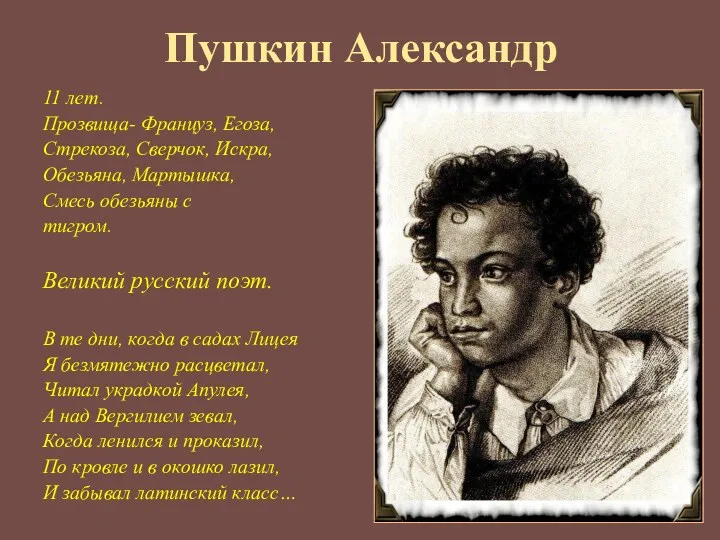 Пушкин Александр 11 лет. Прозвища- Француз, Егоза, Стрекоза, Сверчок, Искра,